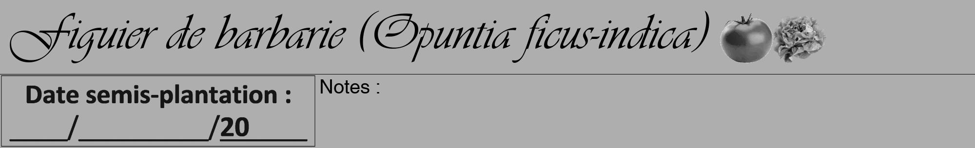 Étiquette de : Opuntia ficus-indica - format a - style noire53viv avec comestibilité simplifiée