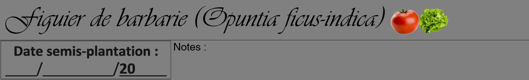 Étiquette de : Opuntia ficus-indica - format a - style noire57viv avec comestibilité simplifiée
