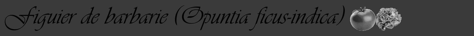 Étiquette de : Opuntia ficus-indica - format a - style noire8viv avec comestibilité simplifiée