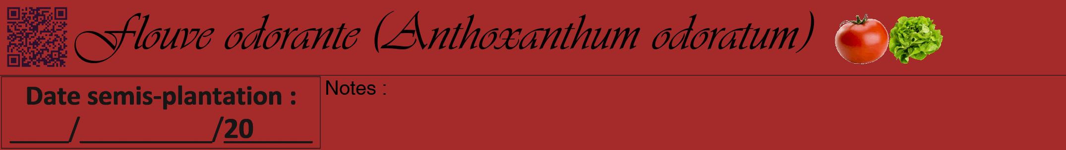 Étiquette de : Anthoxanthum odoratum - format a - style noire33viv avec qrcode et comestibilité simplifiée