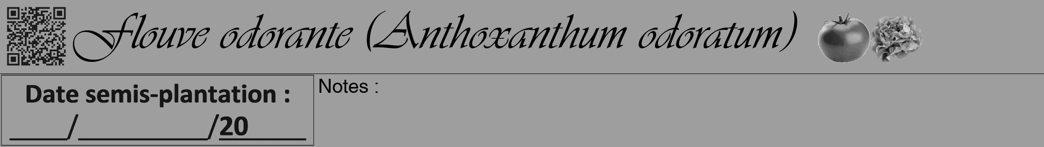 Étiquette de : Anthoxanthum odoratum - format a - style noire42viv avec qrcode et comestibilité simplifiée