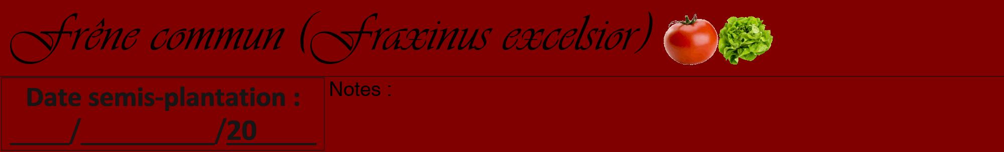 Étiquette de : Fraxinus excelsior - format a - style noire29viv avec comestibilité simplifiée
