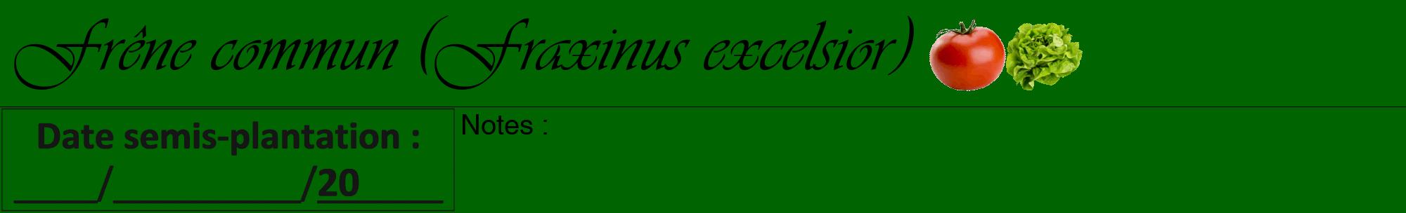 Étiquette de : Fraxinus excelsior - format a - style noire8viv avec comestibilité simplifiée