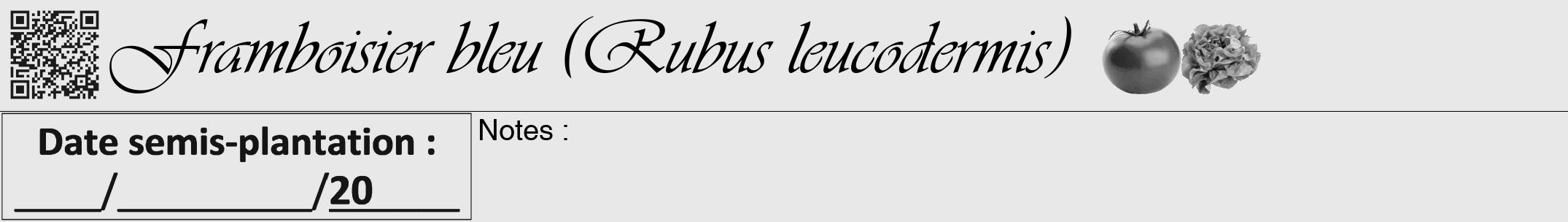 Étiquette de : Rubus leucodermis - format a - style noire55viv avec qrcode et comestibilité simplifiée