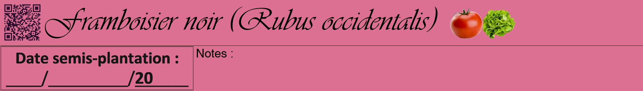 Étiquette de : Rubus occidentalis - format a - style noire44viv avec qrcode et comestibilité simplifiée