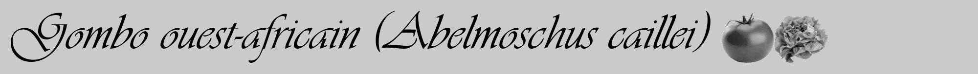 Étiquette de : Abelmoschus caillei - format a - style noire21viv avec comestibilité simplifiée