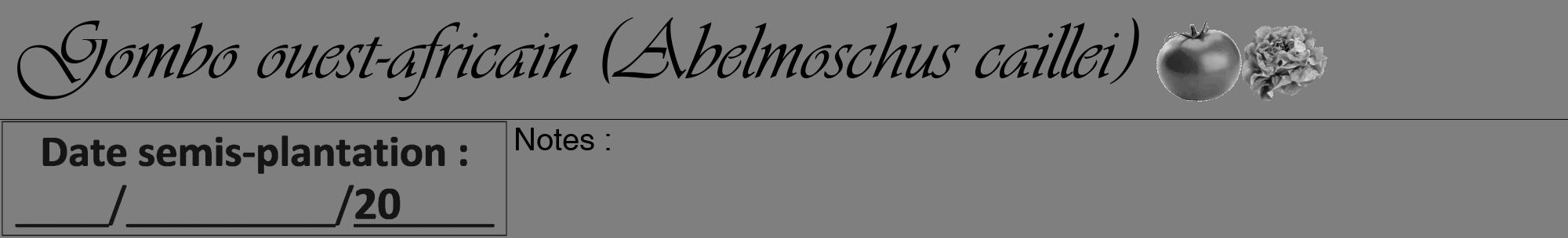 Étiquette de : Abelmoschus caillei - format a - style noire57viv avec comestibilité simplifiée