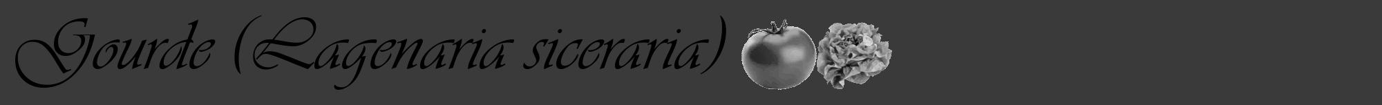 Étiquette de : Lagenaria siceraria - format a - style noire8viv avec comestibilité simplifiée