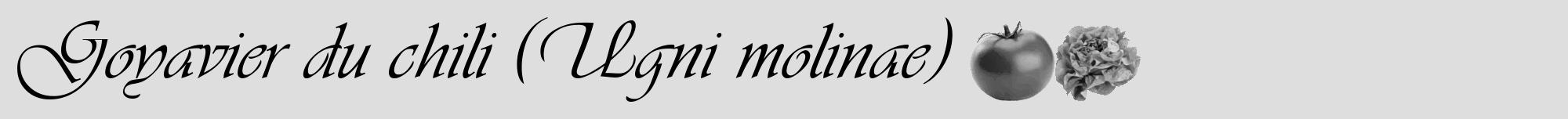 Étiquette de : Ugni molinae - format a - style noire20viv avec comestibilité simplifiée
