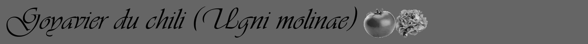 Étiquette de : Ugni molinae - format a - style noire32viv avec comestibilité simplifiée