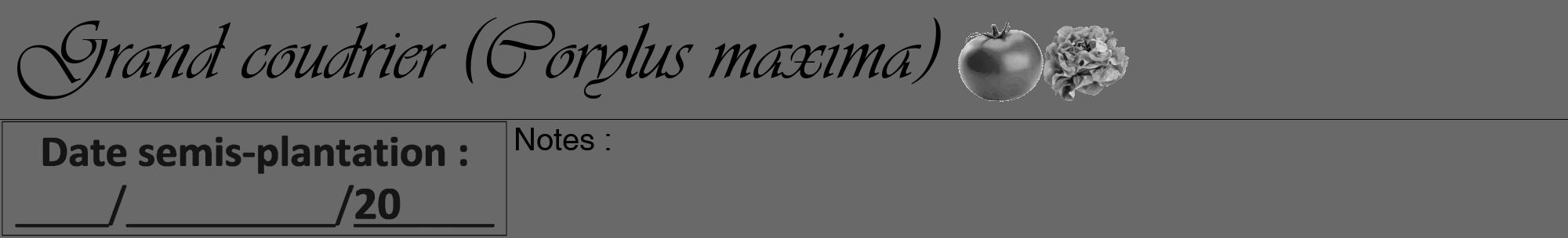 Étiquette de : Corylus maxima - format a - style noire11viv avec comestibilité simplifiée