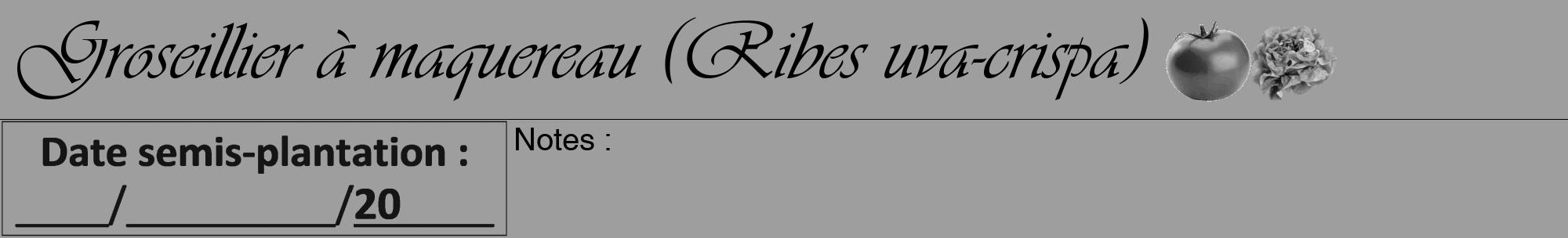 Étiquette de : Ribes uva-crispa - format a - style noire23viv avec comestibilité simplifiée