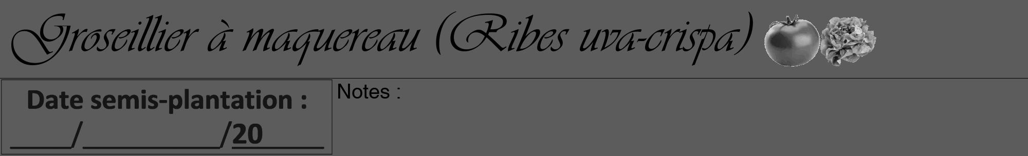 Étiquette de : Ribes uva-crispa - format a - style noire49viv avec comestibilité simplifiée
