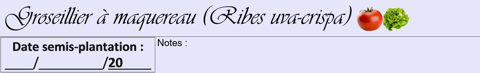 Étiquette de : Ribes uva-crispa - format a - style noire55viv avec comestibilité simplifiée