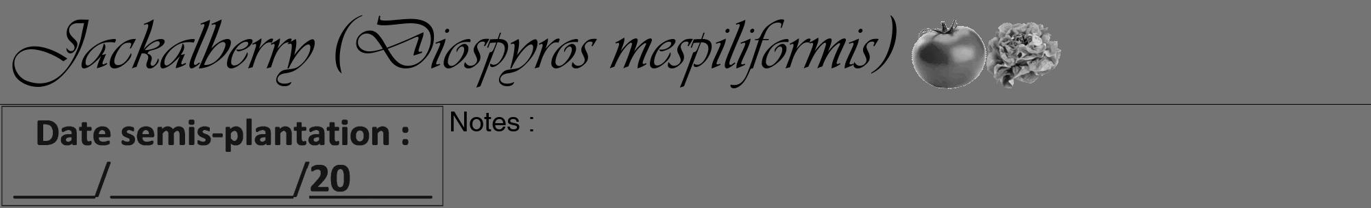 Étiquette de : Diospyros mespiliformis - format a - style noire26basiqueviv avec comestibilité simplifiée