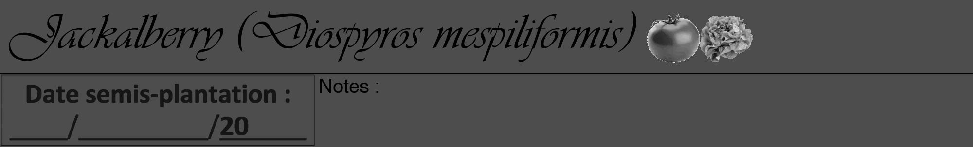 Étiquette de : Diospyros mespiliformis - format a - style noire28viv avec comestibilité simplifiée