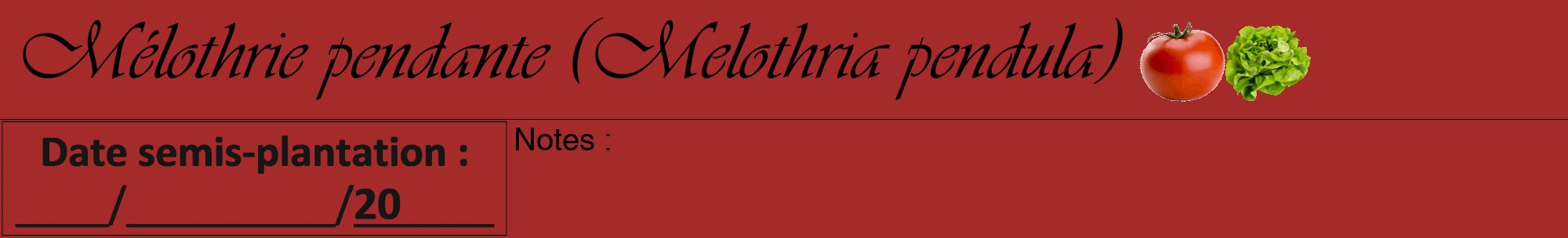 Étiquette de : Melothria pendula - format a - style noire33basiqueviv avec comestibilité simplifiée