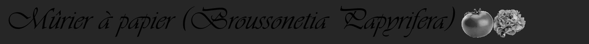 Étiquette de : Broussonetia Papyrifera - format a - style noire29viv avec comestibilité simplifiée