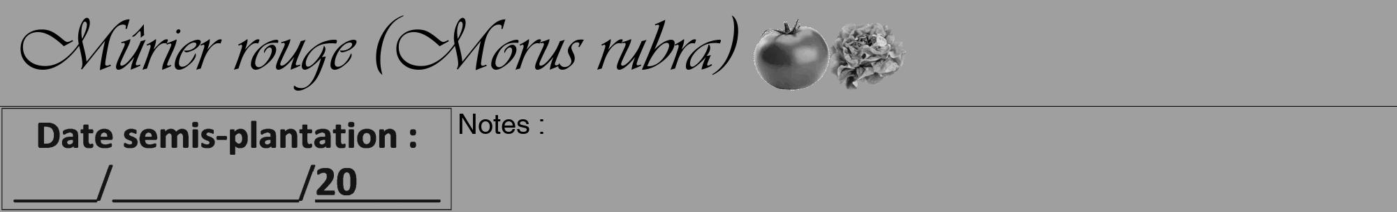 Étiquette de : Morus rubra - format a - style noire24viv avec comestibilité simplifiée