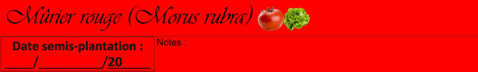 Étiquette de : Morus rubra - format a - style noire27viv avec comestibilité simplifiée
