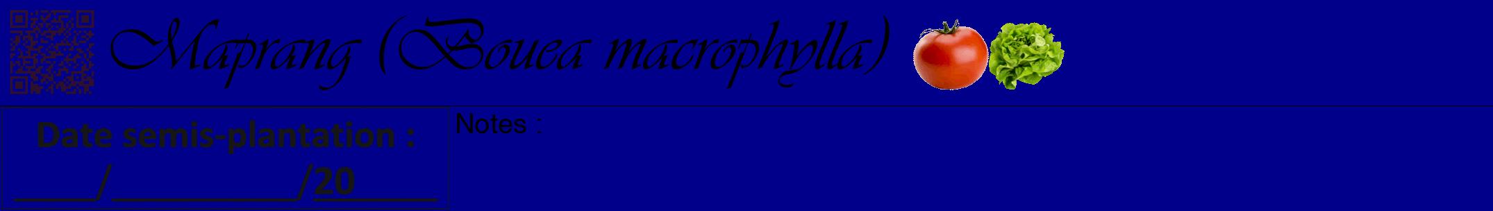 Étiquette de : Bouea macrophylla - format a - style noire7simpleviv avec qrcode et comestibilité simplifiée