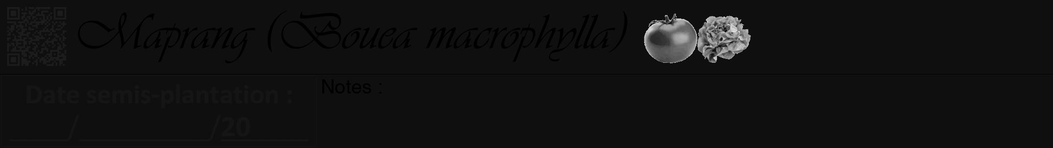 Étiquette de : Bouea macrophylla - format a - style noire7simpleviv avec qrcode et comestibilité simplifiée