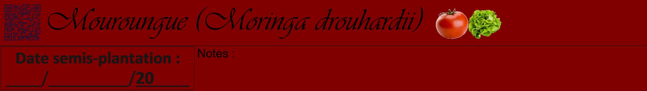 Étiquette de : Moringa drouhardii - format a - style noire29viv avec qrcode et comestibilité simplifiée