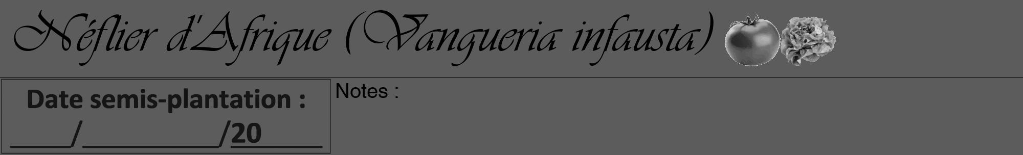 Étiquette de : Vangueria infausta - format a - style noire49viv avec comestibilité simplifiée