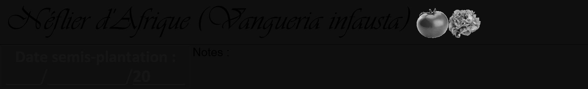 Étiquette de : Vangueria infausta - format a - style noire7viv avec comestibilité simplifiée