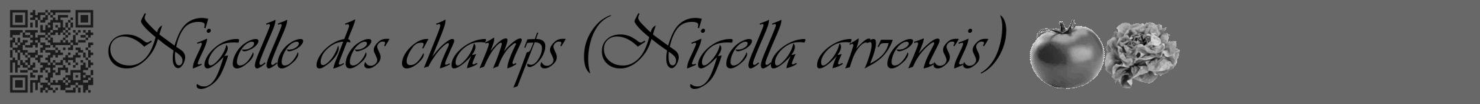 Étiquette de : Nigella arvensis - format a - style noire6basiqueviv avec qrcode et comestibilité simplifiée