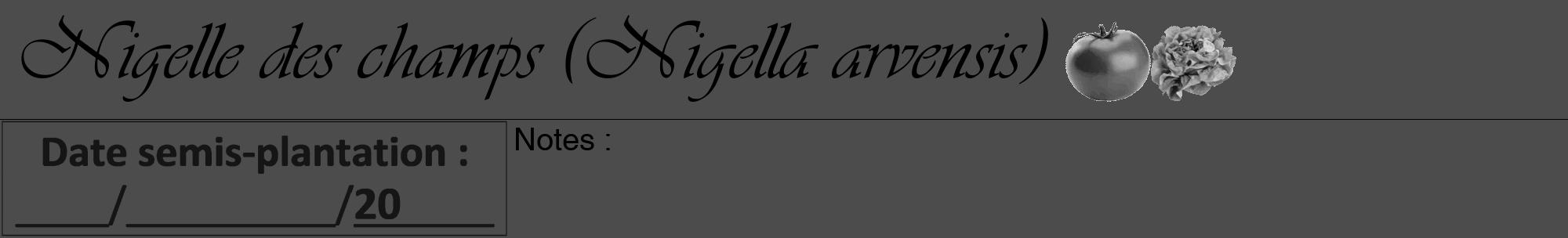Étiquette de : Nigella arvensis - format a - style noire27viv avec comestibilité simplifiée