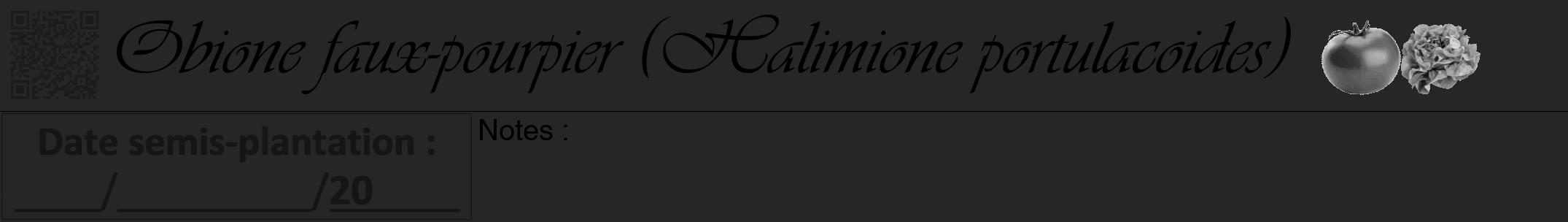 Étiquette de : Halimione portulacoides - format a - style noire29viv avec qrcode et comestibilité simplifiée