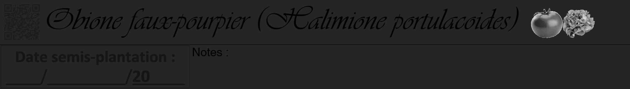 Étiquette de : Halimione portulacoides - format a - style noire47viv avec qrcode et comestibilité simplifiée