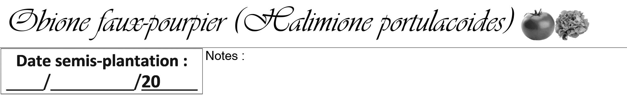 Étiquette de : Halimione portulacoides - format a - style noire60viv avec comestibilité simplifiée