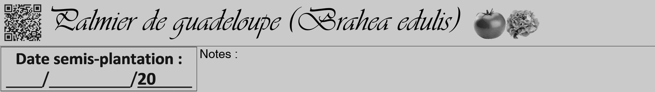 Étiquette de : Brahea edulis - format a - style noire21viv avec qrcode et comestibilité simplifiée