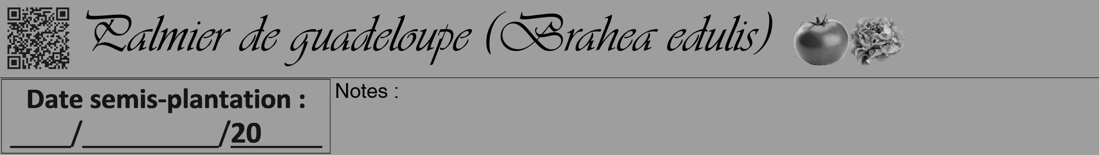 Étiquette de : Brahea edulis - format a - style noire42viv avec qrcode et comestibilité simplifiée
