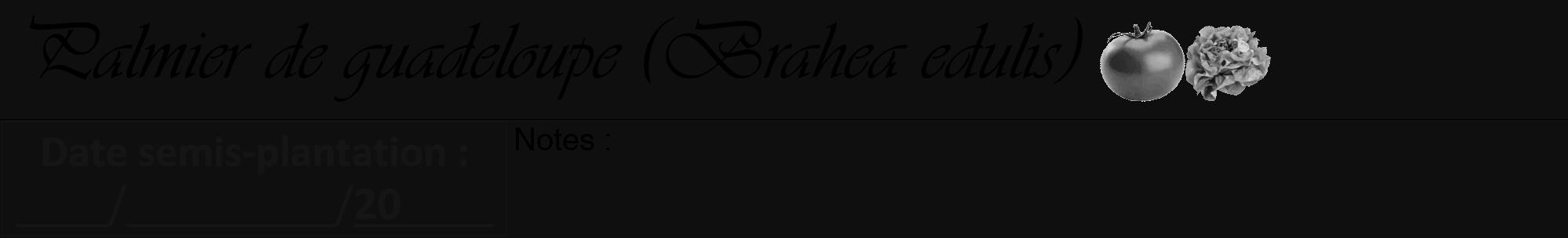 Étiquette de : Brahea edulis - format a - style noire7viv avec comestibilité simplifiée