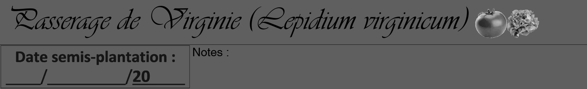 Étiquette de : Lepidium virginicum - format a - style noire10viv avec comestibilité simplifiée