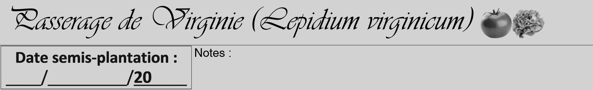 Étiquette de : Lepidium virginicum - format a - style noire14viv avec comestibilité simplifiée
