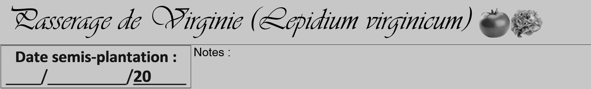 Étiquette de : Lepidium virginicum - format a - style noire15viv avec comestibilité simplifiée