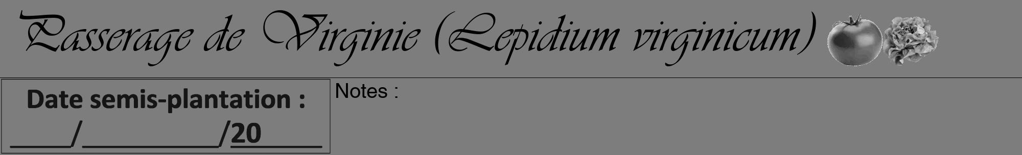 Étiquette de : Lepidium virginicum - format a - style noire35viv avec comestibilité simplifiée
