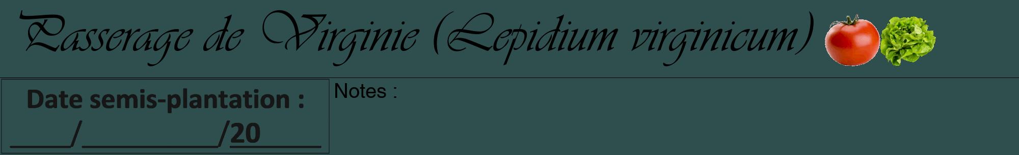 Étiquette de : Lepidium virginicum - format a - style noire58viv avec comestibilité simplifiée