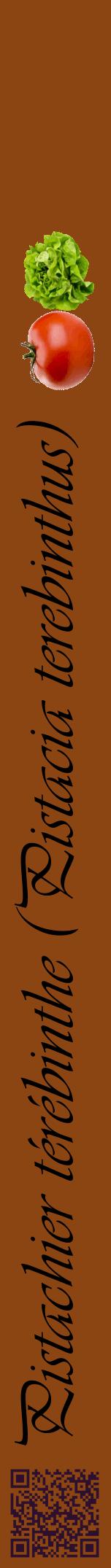 Étiquette de : Pistacia terebinthus - format a - style noire30viv avec qrcode et comestibilité simplifiée