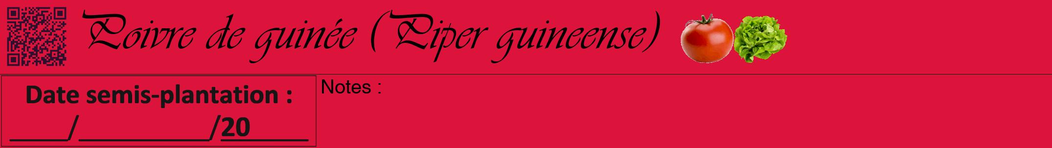 Étiquette de : Piper guineense - format a - style noire36viv avec qrcode et comestibilité simplifiée