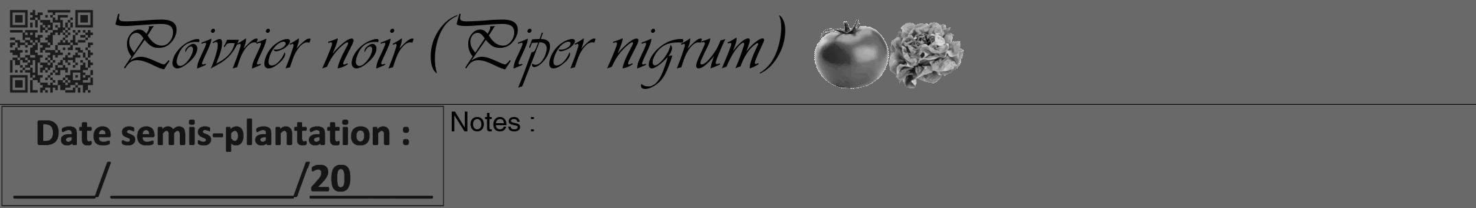 Étiquette de : Piper nigrum - format a - style noire11viv avec qrcode et comestibilité simplifiée