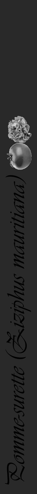 Étiquette de : Ziziphus mauritiana - format a - style noire34viv avec comestibilité simplifiée - position verticale