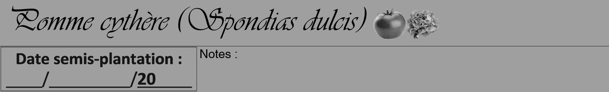 Étiquette de : Spondias dulcis - format a - style noire24viv avec comestibilité simplifiée