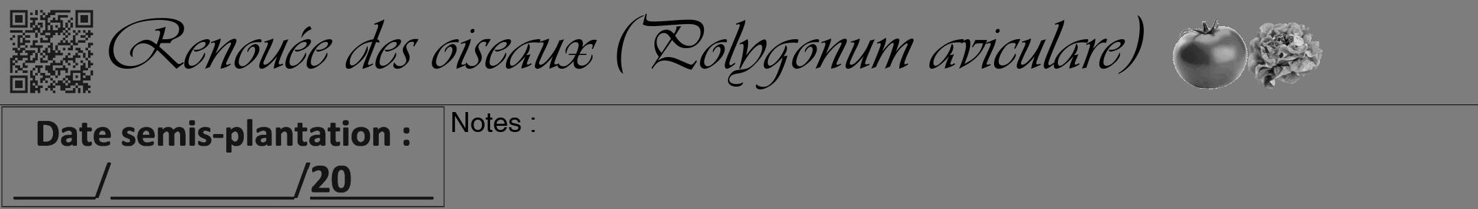 Étiquette de : Polygonum aviculare - format a - style noire35viv avec qrcode et comestibilité simplifiée