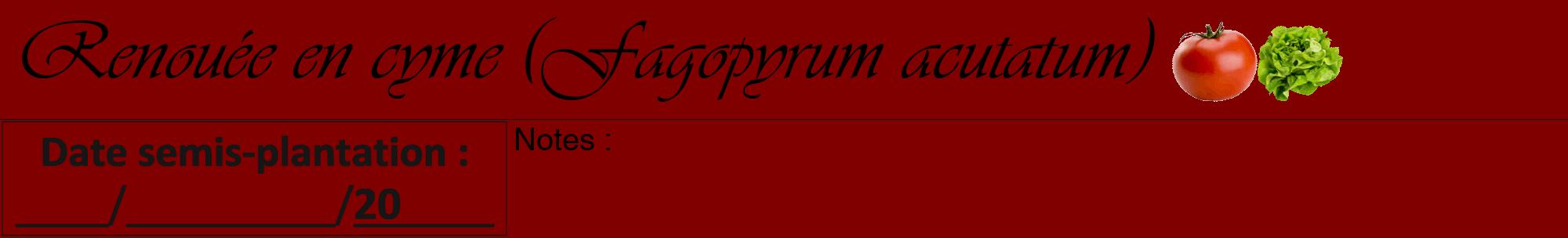 Étiquette de : Fagopyrum acutatum - format a - style noire29viv avec comestibilité simplifiée