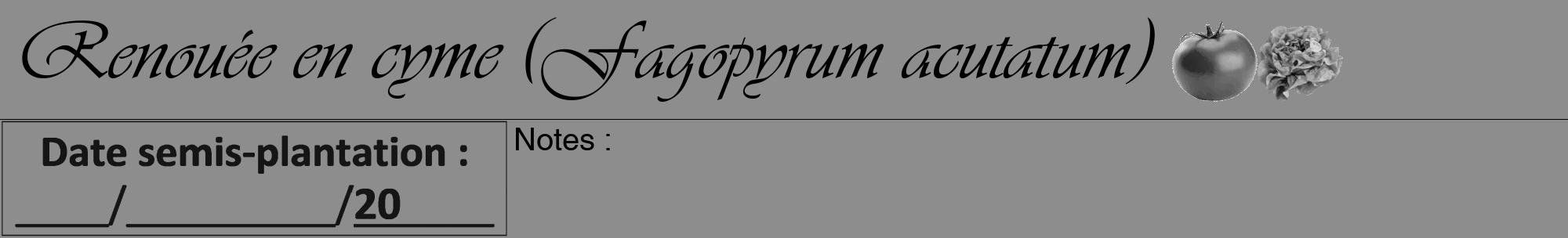 Étiquette de : Fagopyrum acutatum - format a - style noire2viv avec comestibilité simplifiée